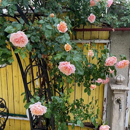 High-end 3br - Private Garden, Terrace&bbq