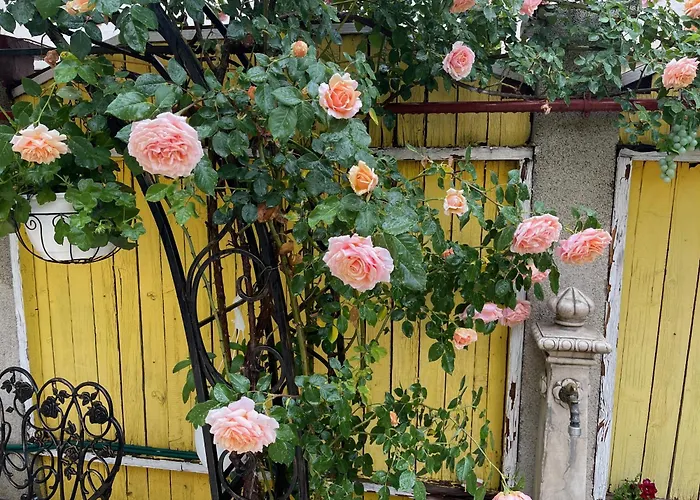 High-end 3br - Private Garden, Terrace & Bbq